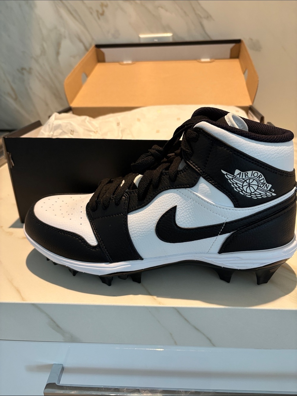 Nike Jordan 1 NWT